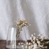 Homewares Crane Living | Lissy Tapered Water Glass