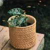 Decor Crane Living | Herringbone Weave Rattan Printed Clay Plant Pot - Large