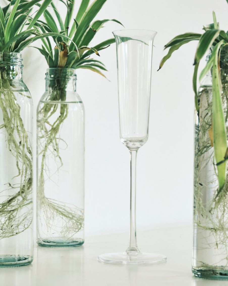 Homewares Crane Living | St Tropez Flared Champagne Flute