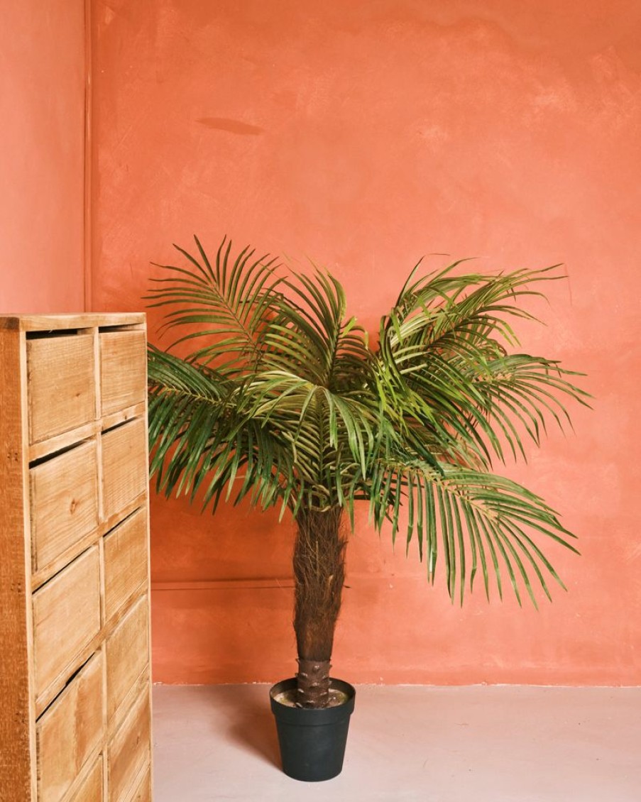 Decor Crane Living | Fern Palm - Short