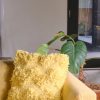 Furniture Crane Living | Yellow Boho Cushion