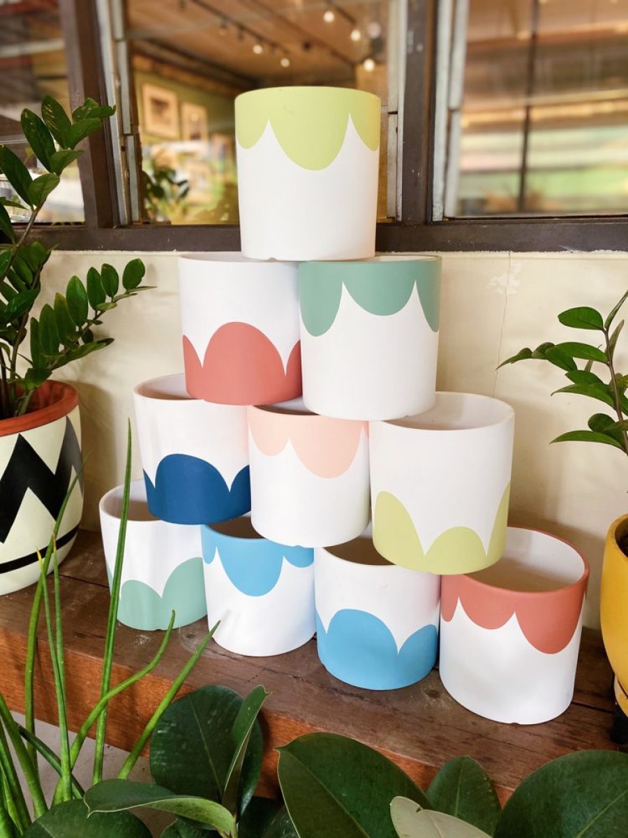 Decor Crane Living | Macaron Flower Pot Assorted Colours