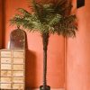 Decor Crane Living | Fern Palm - Medium