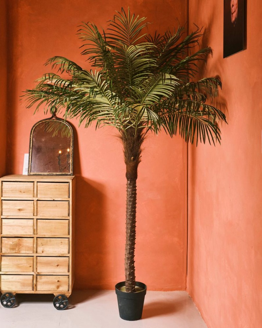 Decor Crane Living | Fern Palm - Medium