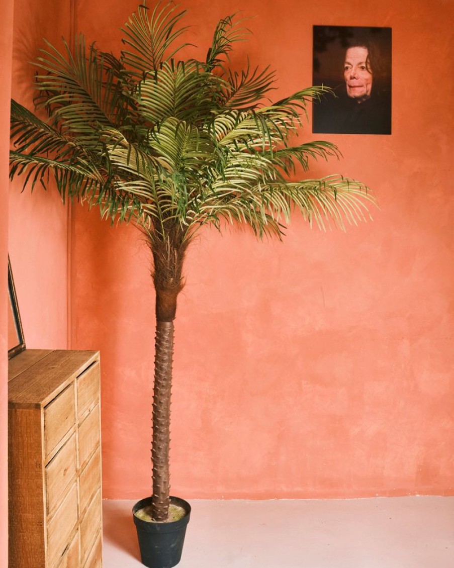 Decor Crane Living | Fern Palm - Medium