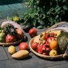 Homewares Crane Living | Uluwatu Fruit Tray